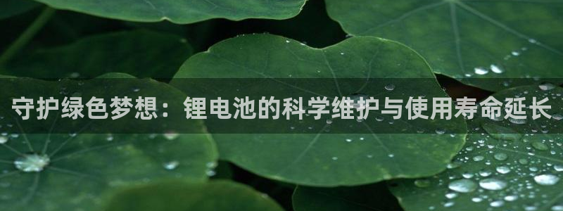 tp钱包用法