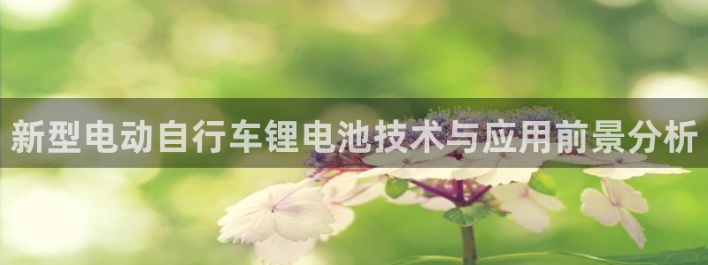 TP钱包dapp打不开怎么办