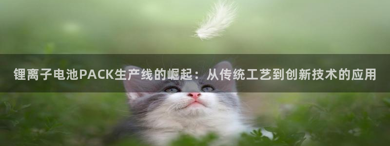 苹果下载tp钱包要钱吗
