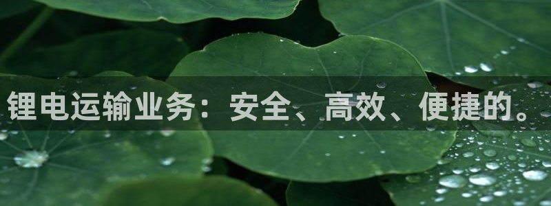TP钱包打不开的原因是什么