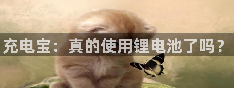 tp钱包官网打不开