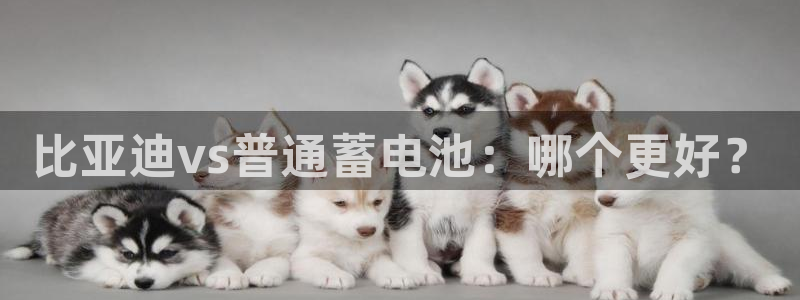 tp钱包安卓怎么下载不了