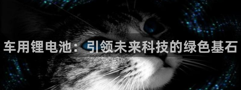 TP冷钱包下载网址