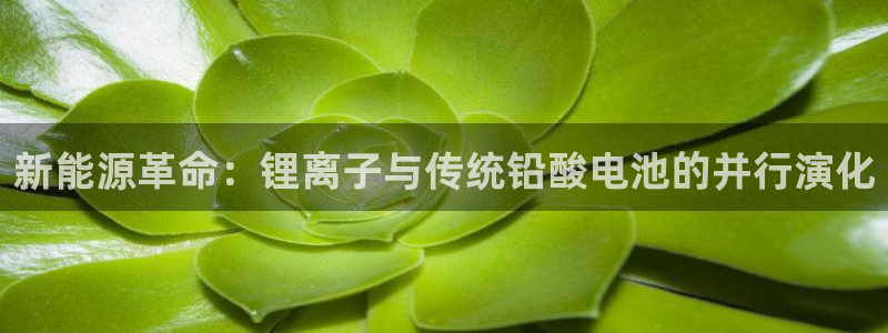 TP钱包二维码被盗u怎么办