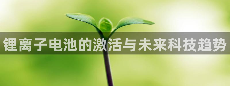 TP钱包app的最新版本更新内容