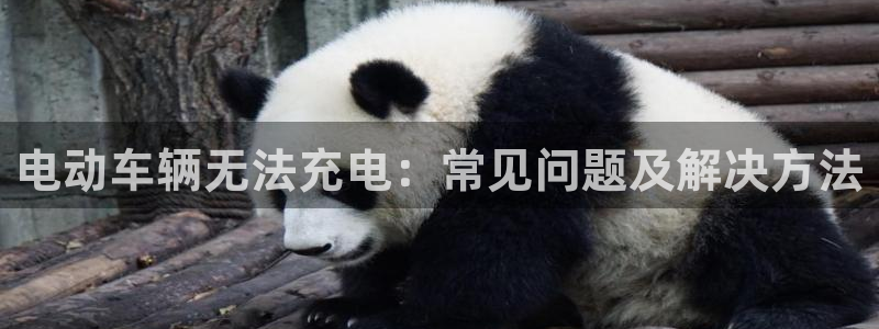tp钱包导入