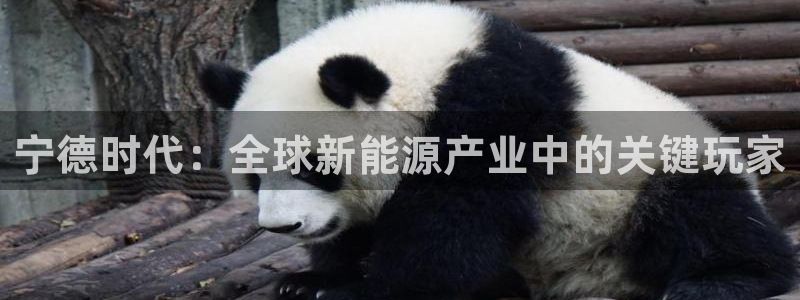 tp钱包官网下载不了