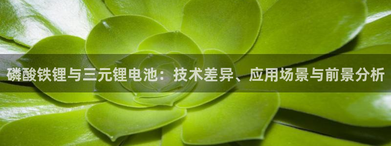 tp钱包nft转账