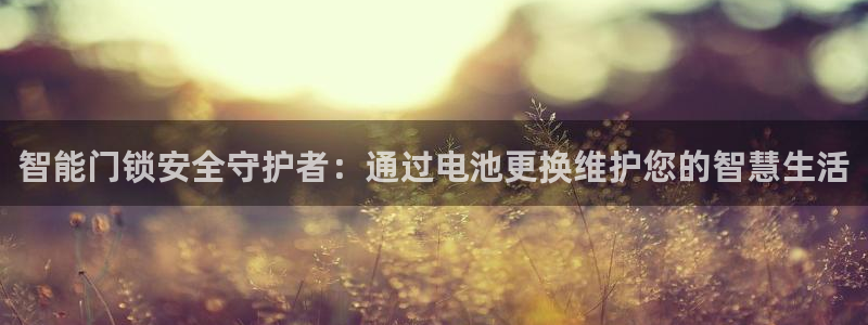 tp钱包合约地址查询