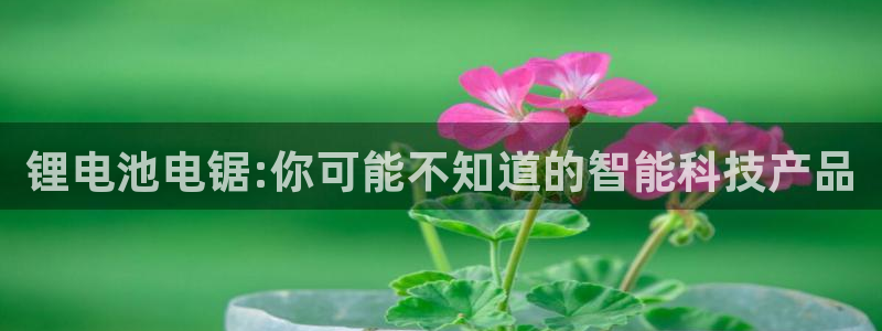tp钱包eth如何变现