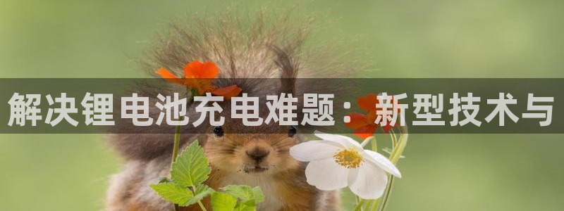 tp钱包app官方下载安卓最新版本1.77