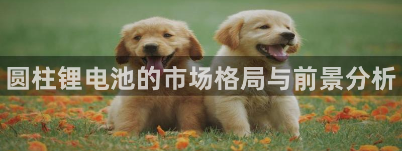TP钱包怎么下载不了了