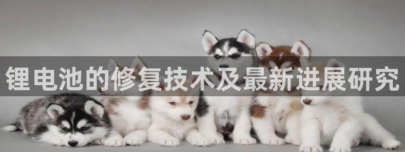 Tp钱包官方正版下载最新版本更新内容