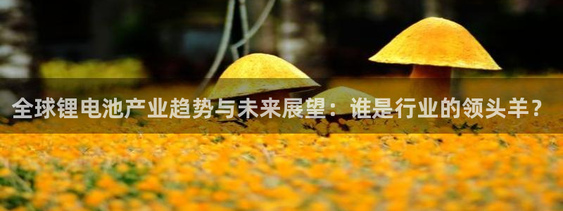 tp钱包被抓