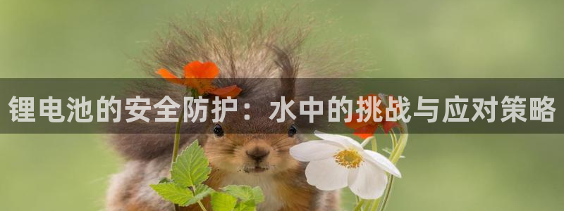 tp钱包怎么找回子钱包
