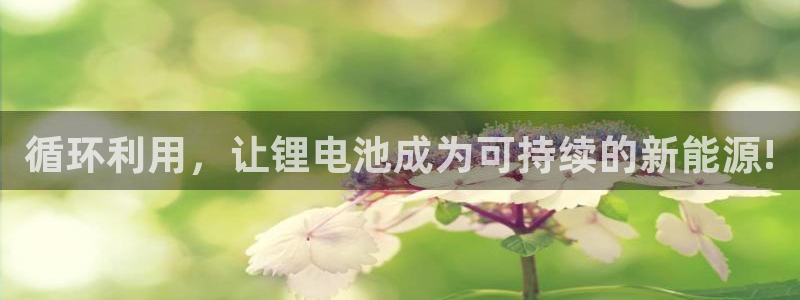 tp钱包matic链怎么转入