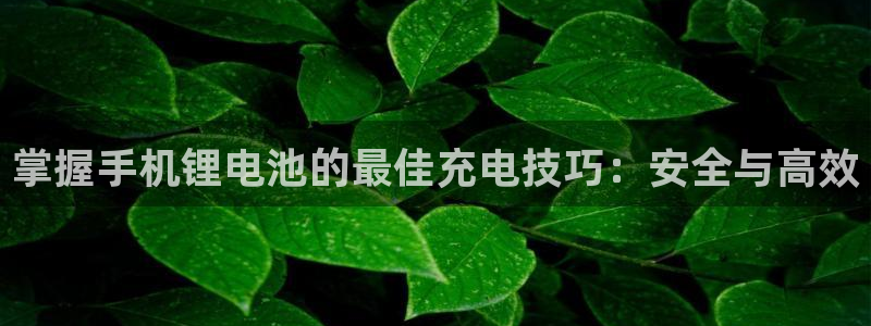 tp钱包提币教程
