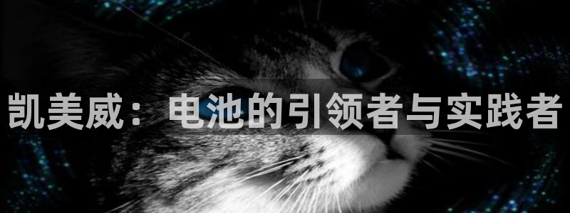 tp钱包排行