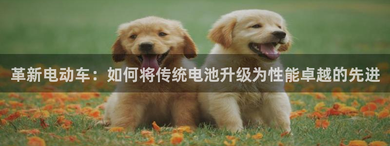 如何下载tp钱包