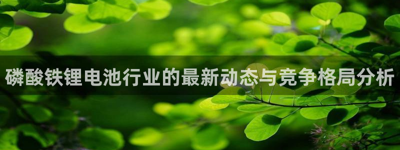 tp钱包转不出去