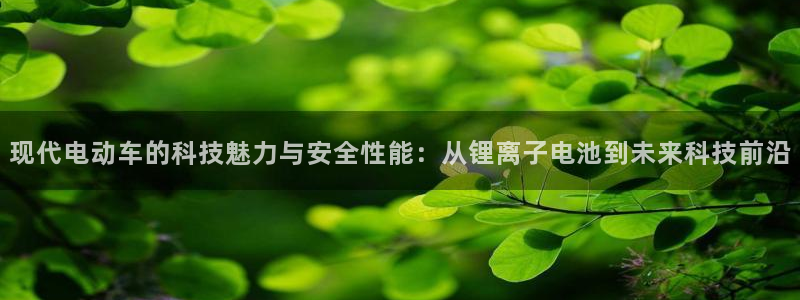 Tp钱包安卓版v2.8.3：现代电动车的科技魅力与安全性能：从锂离子电池到未来科技前沿