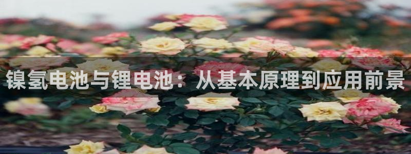 tp钱包资产被盗了怎么办