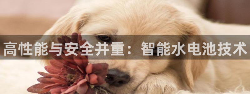 tp钱包app下载