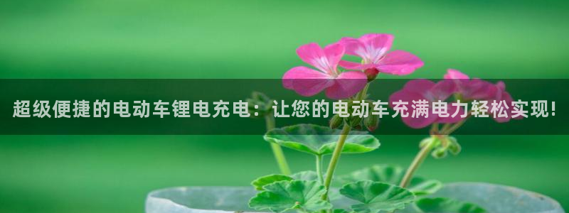 tp官方下载安卓最新版本