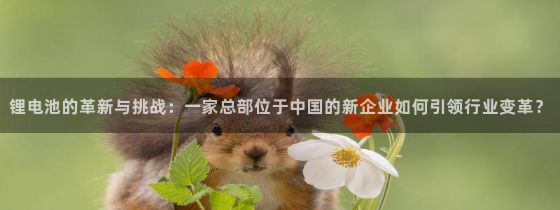 tp钱包下载安卓官网app
