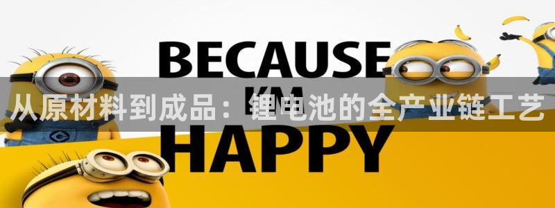 tp钱包ios版有面容吗：从原材料到成品：锂电池的全产业链工艺