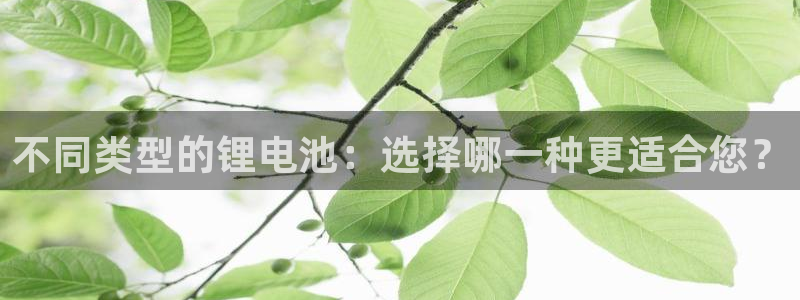 tp钱包转错了怎么办