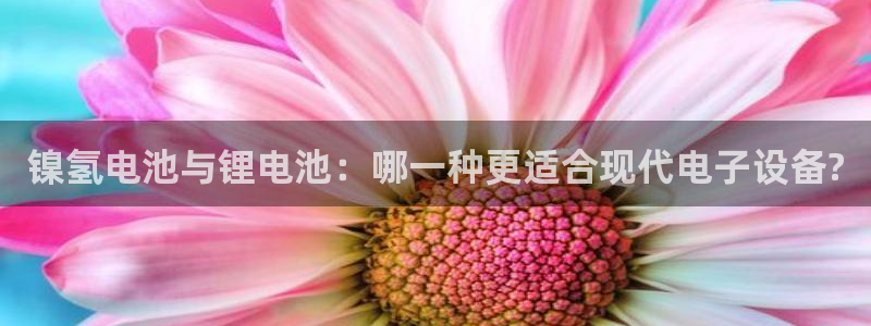 tp钱包怎么买入trx波场币：镍氢电池与锂电池：哪一种更适合现代电子设备?