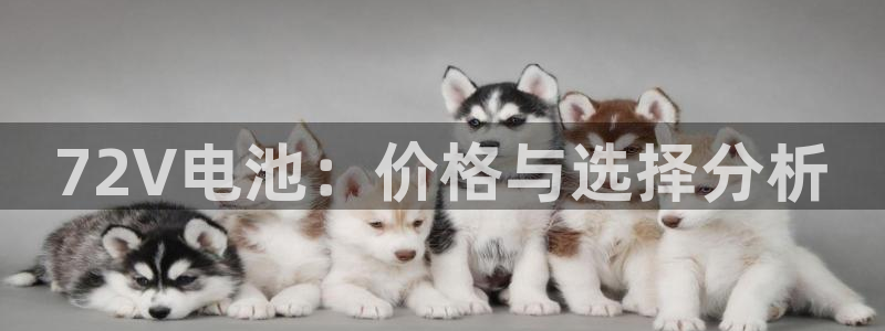 tp钱包和交易所有关系吗