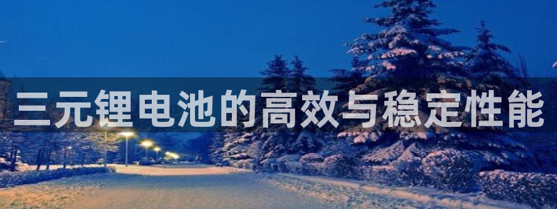 tptp下载恐鬼症：三元锂电池的高效与稳定性能