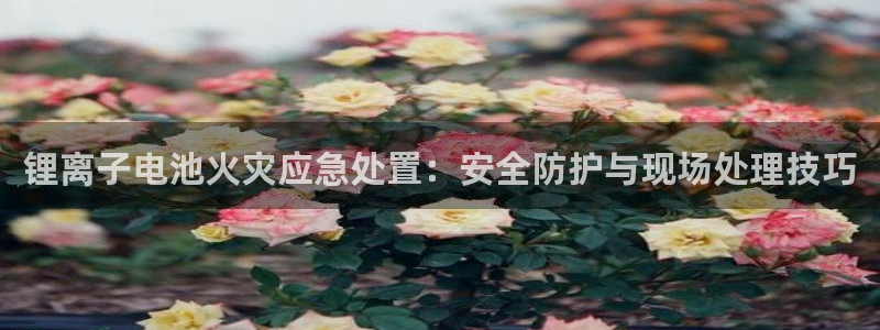 tp钱包交易不了