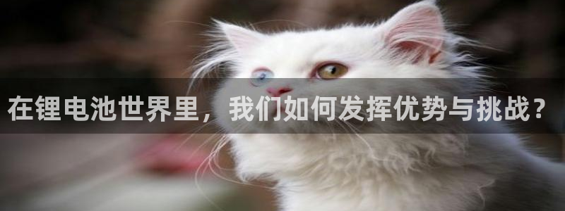 tp钱包官网下载app最新版本2023：在锂电池世界里，我们如何发挥优势与挑战？