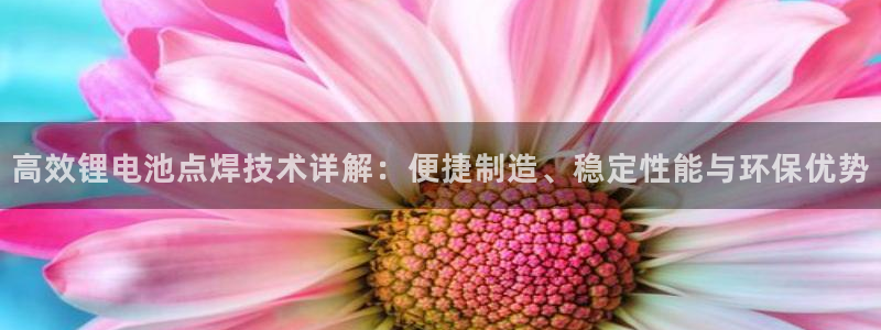 tp钱包的币怎么看k线：高效锂电池点焊技术详解：便捷制造、稳定性能与环保优势
