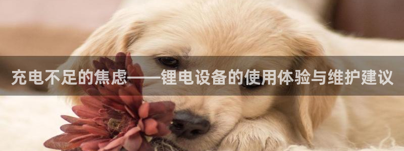 tp钱包矿工费怎么算：充电不足的焦虑——锂电设备的使用体验与维护建议