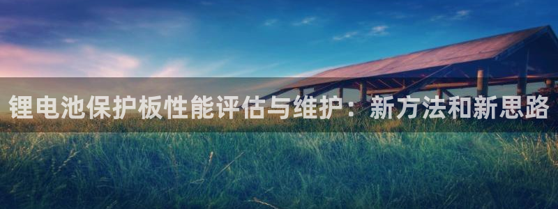 tp钱包转不了账：锂电池保护板性能评估与维护：新方法和新思路