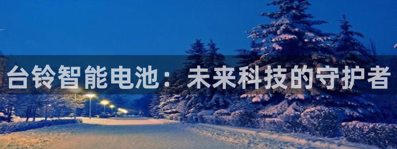 tp钱包怎么切换：台铃智能电池：未来科技的守护者
