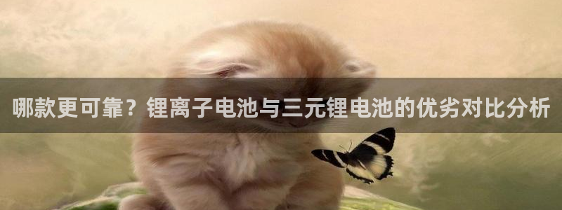 tp钱包bch