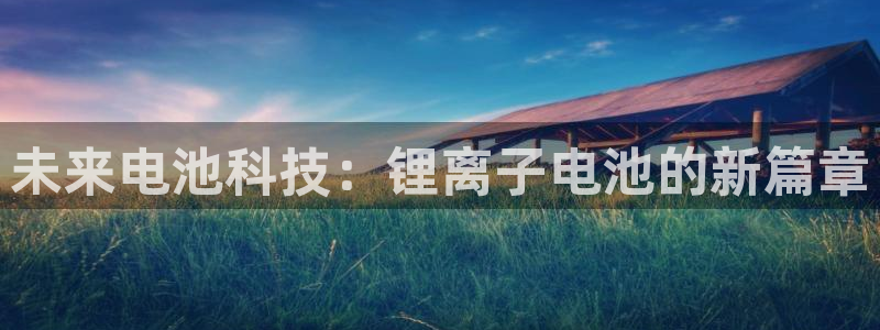 tp钱包上的币怎么卖：未来电池科技：锂离子电池的新篇章