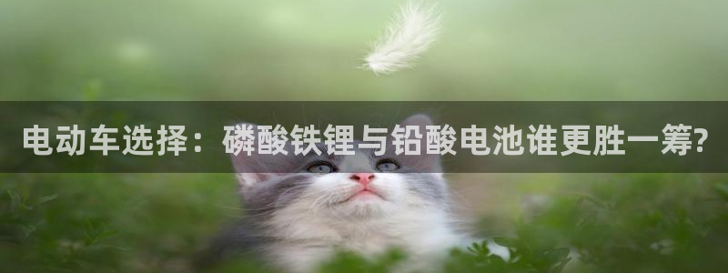 tp钱包怎么变成人民币：电动车选择：磷酸铁锂与铅酸电池谁更胜一筹?