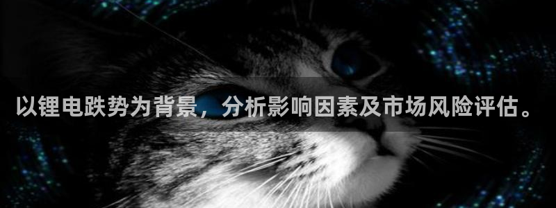 tp钱包的币怎么转出：以锂电跌势为背景，分析影响因素及市场风险评估。