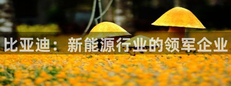 tp钱包修改密码：比亚迪：新能源行业的领军企业