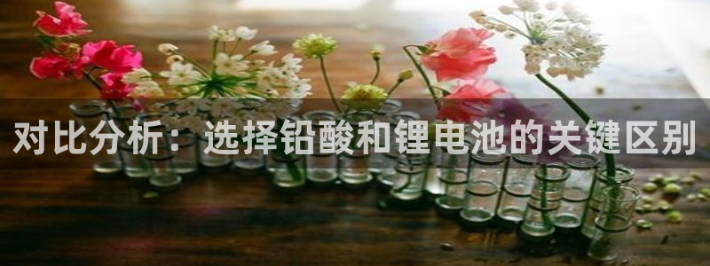 tp钱包怎么联系客服人工服务：对比分析：选择铅酸和锂电池的关键区别