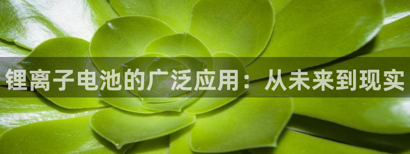 tp钱包怎样批量删除观察钱包：锂离子电池的广泛应用：从未来到现实