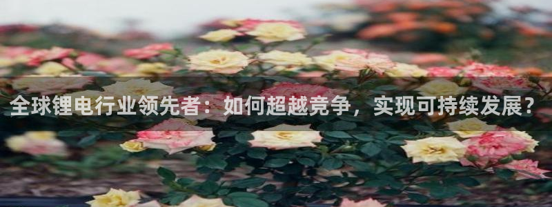 tp钱包资金池：全球锂电行业领先者：如何超越竞争，实现可持续发展？