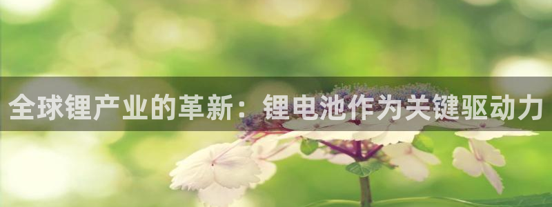 tp钱包里面的币不见了：全球锂产业的革新：锂电池作为关键驱动力