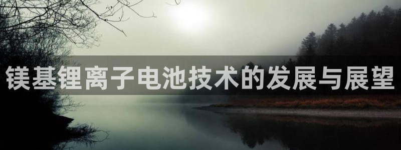tp钱包usdt换ht：镁基锂离子电池技术的发展与展望